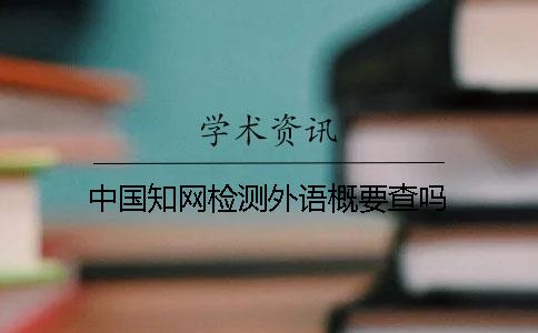 中国知网检测外语概要查吗