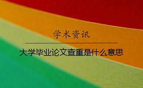 大学毕业论文查重是什么意思