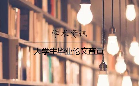 大学生毕业论文查重